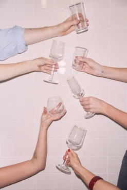 Champagneglas 24 cl 2 stk.