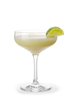 Cocktailglas 29 cl 6 stk.