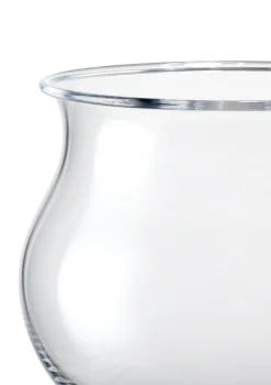 Cognacglas 22 cl