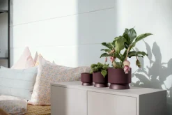 Urtepotteskjuler Ø12 cm